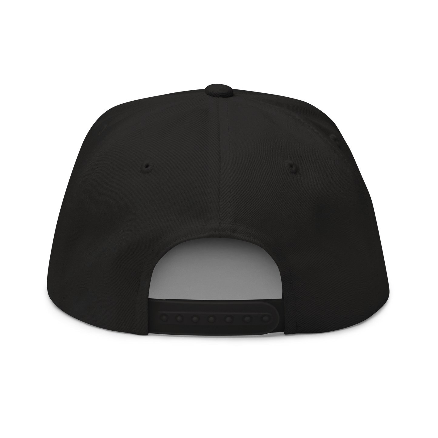 LNR Crown Snapback